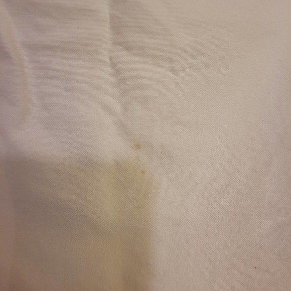 Everlane white long sleeved button up NWT - Picture 9 of 9